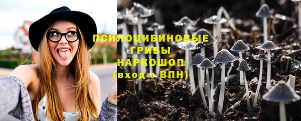 ПСИЛОЦИБИНОВЫЕ ГРИБЫ Алзамай