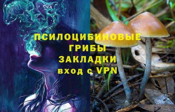 соль ск Алексеевка