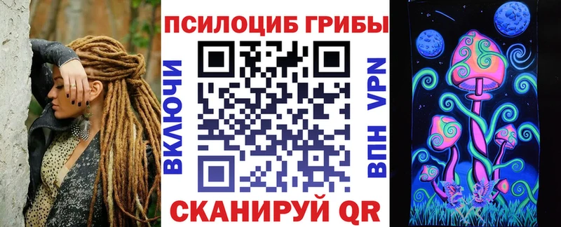 купить наркотик  МЕГА вход  Галлюциногенные грибы Psilocybine cubensis  Сасово 